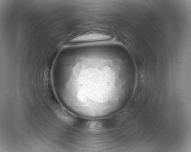 X0000081600275200701291409