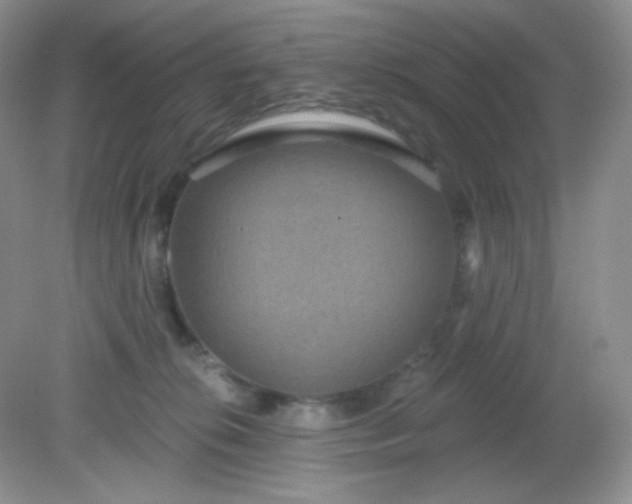 X0000081600276200701291409