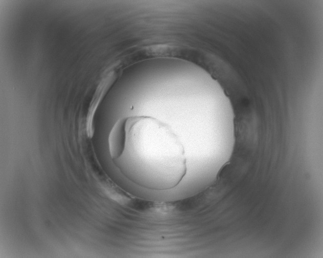 X0000081600278200701291409