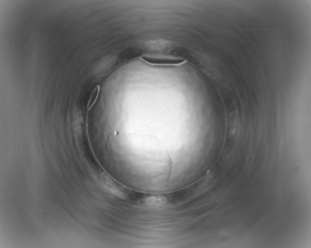 X0000081600279200701291409