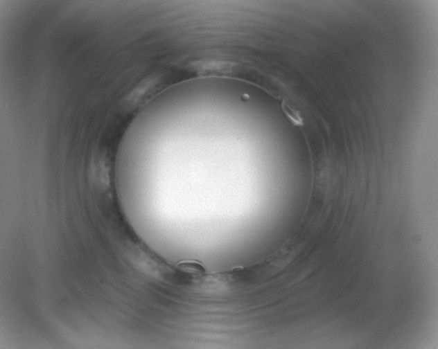 X0000081600282200701291409