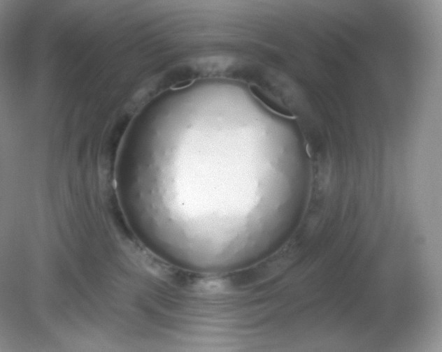 X0000081600283200701291409