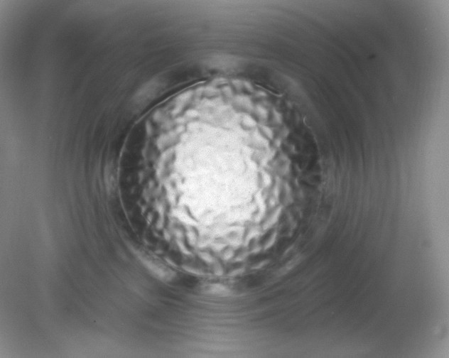 X0000081600285200701291409