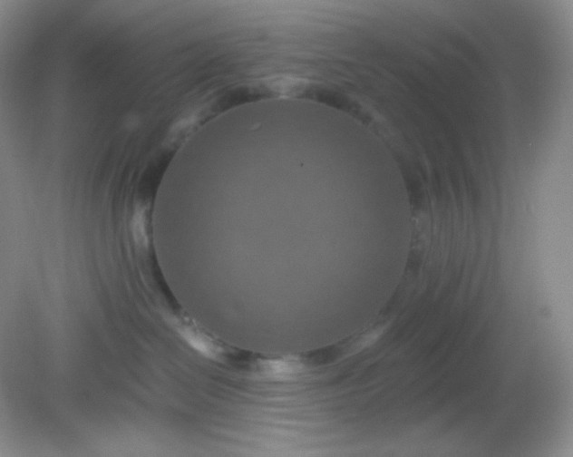 X0000081600286200701291409