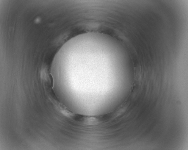 X0000081600287200701291409