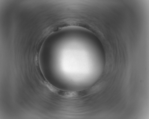 X0000081600288200701291409