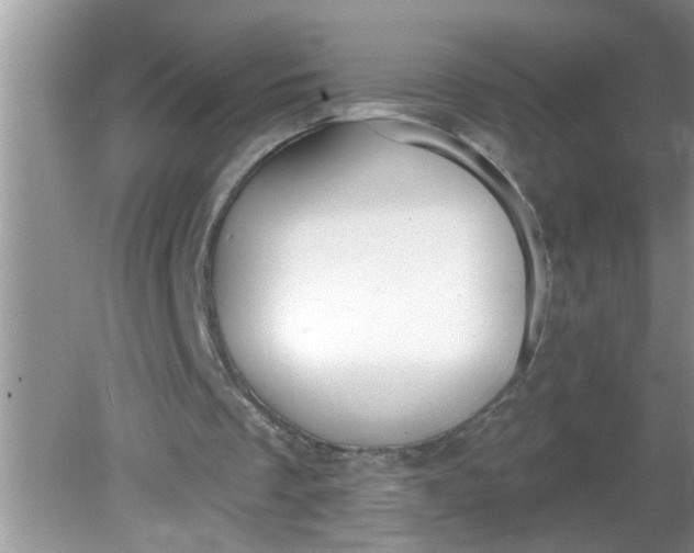 X0000081600289200701291408