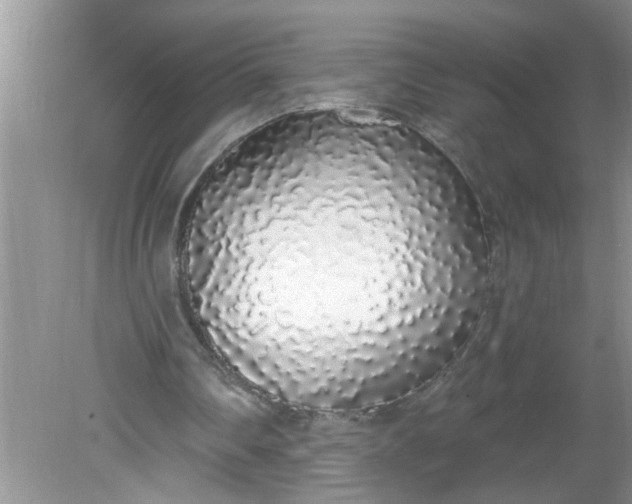 X0000081600290200701291408