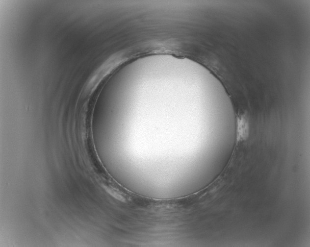 X0000081600291200701291408