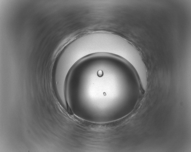 X0000081600293200701291408