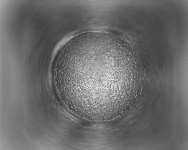 X0000081600294200701291408