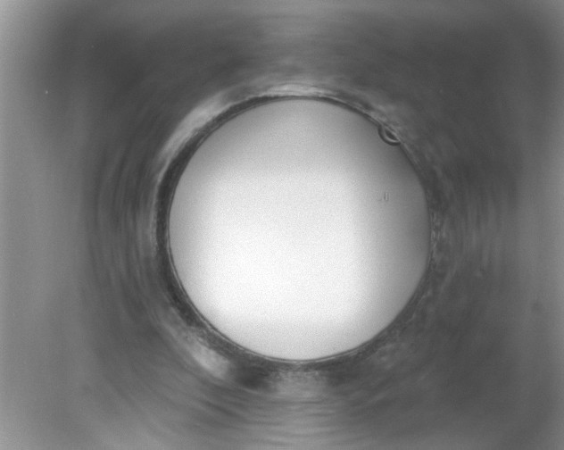 X0000081600296200701291408