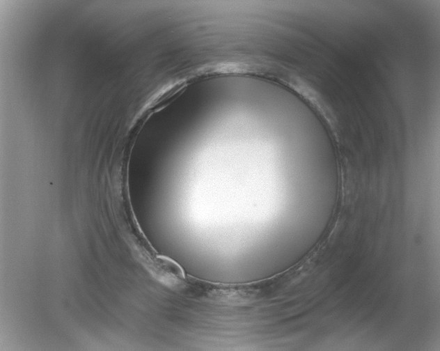 X0000081600297200701291408