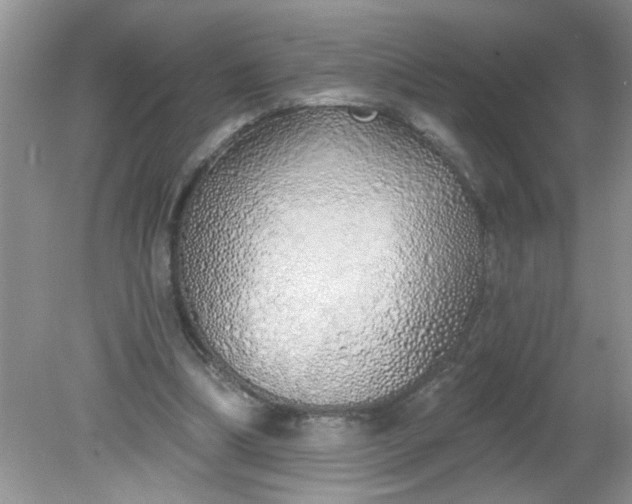 X0000081600298200701291408