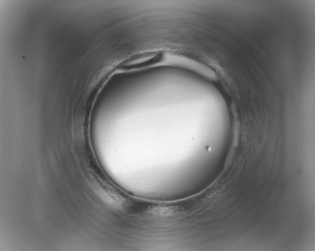 X0000081600299200701291408