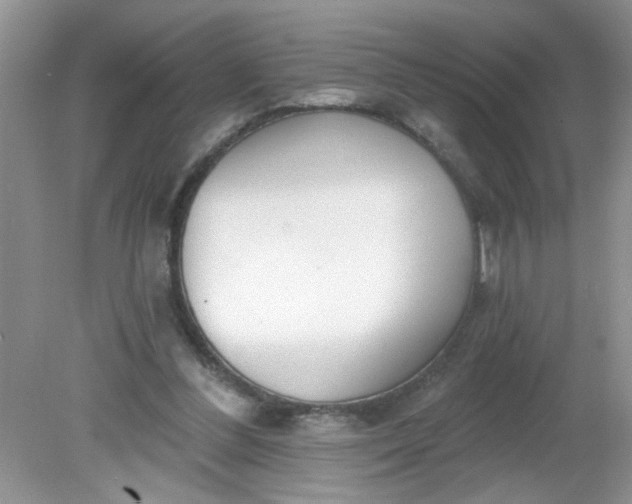 X0000081600300200701291408