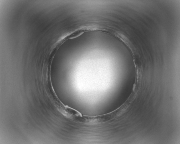 X0000081600301200701291408