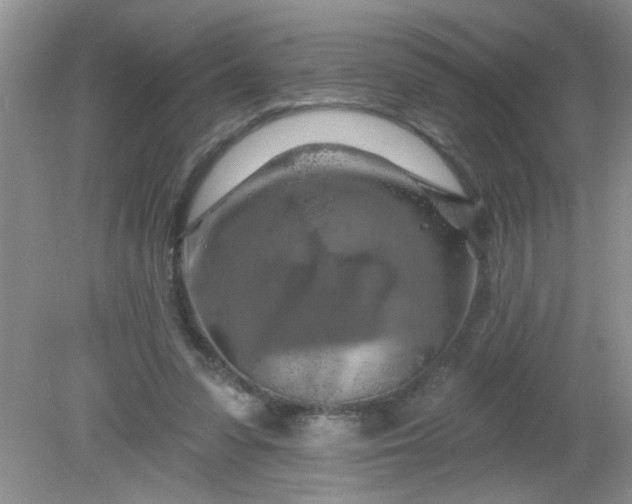 X0000081600303200701291408