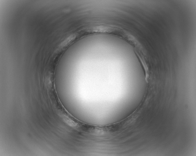 X0000081600305200701291408