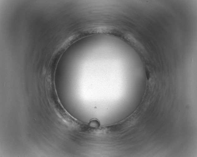 X0000081600306200701291408