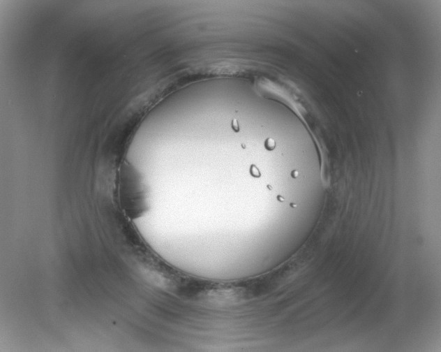 X0000081600307200701291408