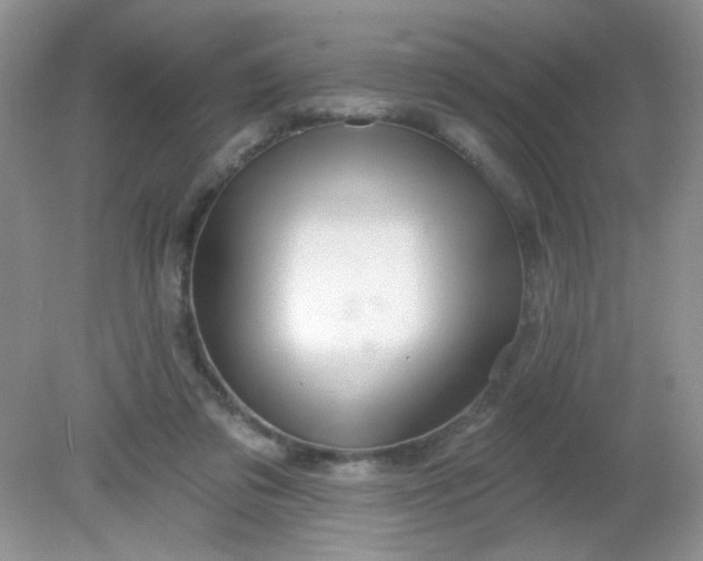 X0000081600309200701291408