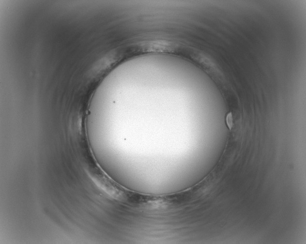 X0000081600310200701291408