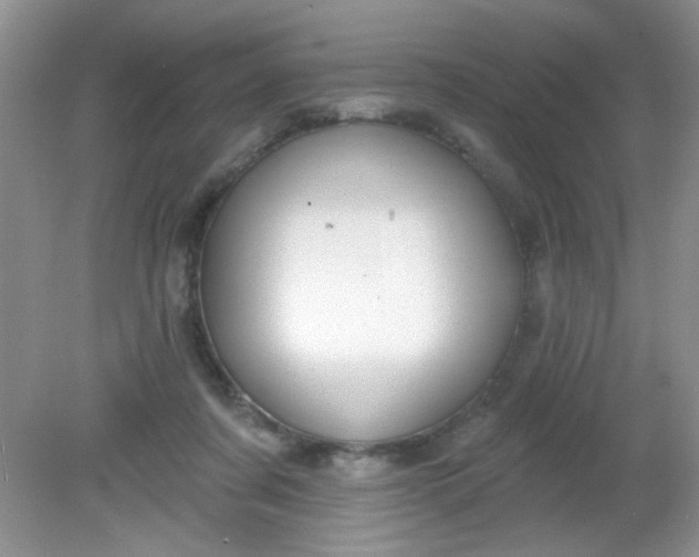 X0000081600311200701291408