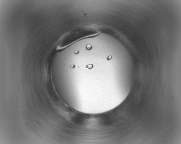 X0000081600312200701291408