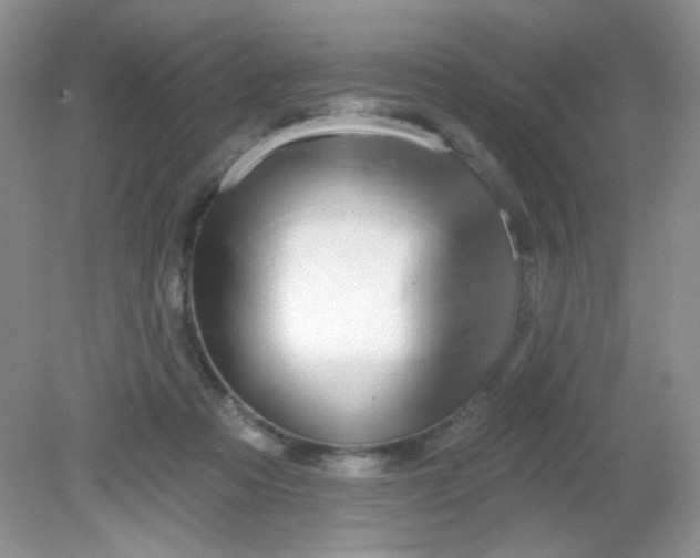 X0000081600313200701291408