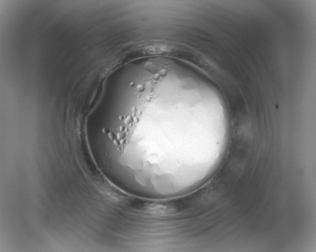 X0000081600315200701291408