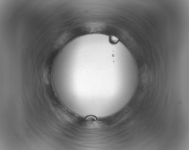 X0000081600316200701291408