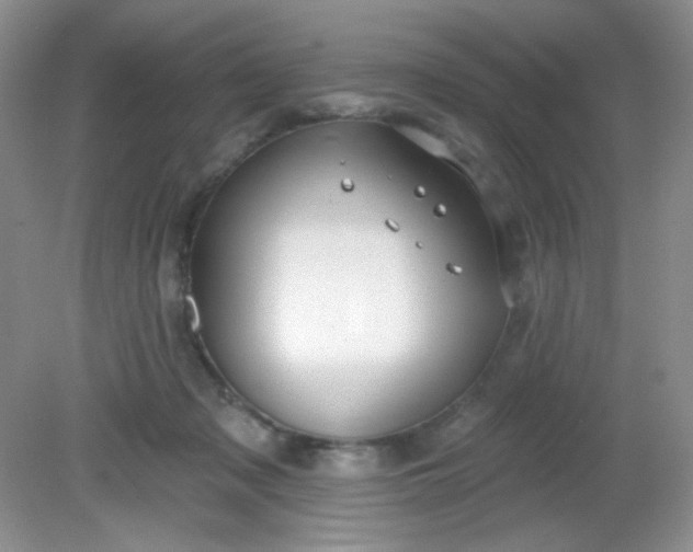 X0000081600317200701291408