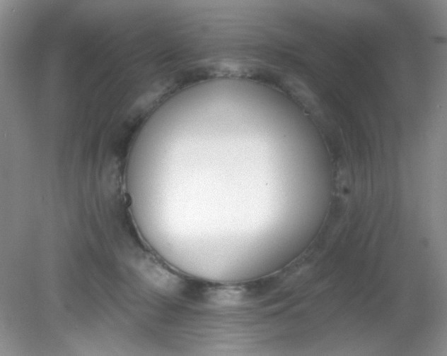 X0000081600318200701291408