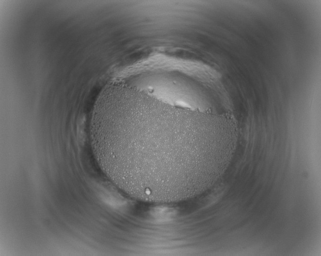 X0000081600319200701291408