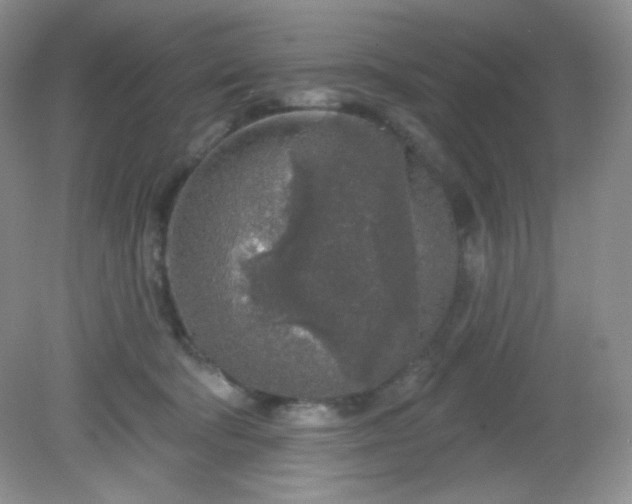 X0000081600322200701291408