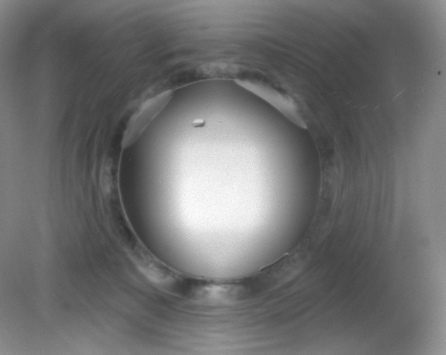 X0000081600323200701291408