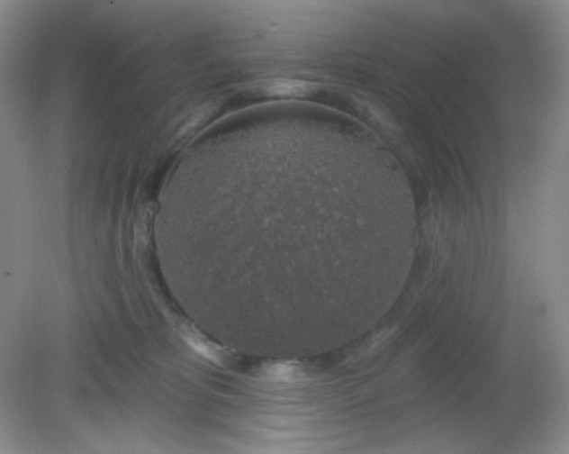 X0000081600325200701291408