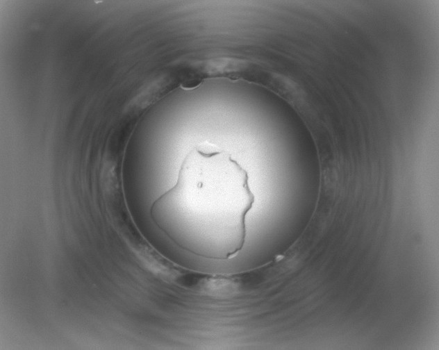 X0000081600327200701291408