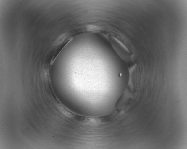 X0000081600329200701291408