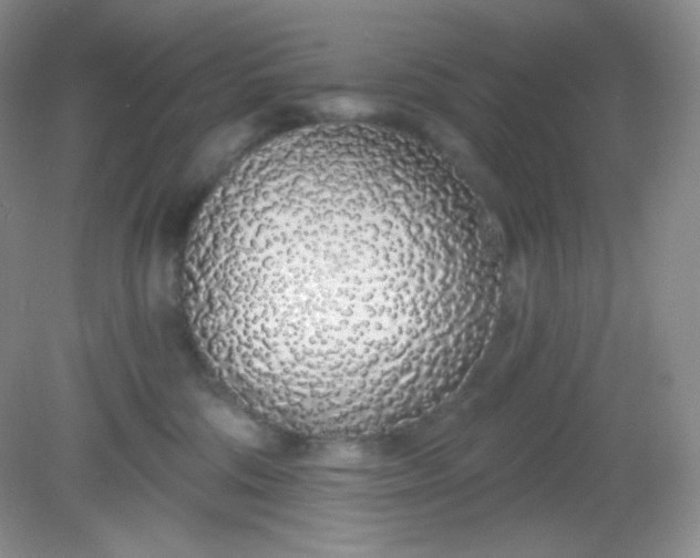 X0000081600330200701291408