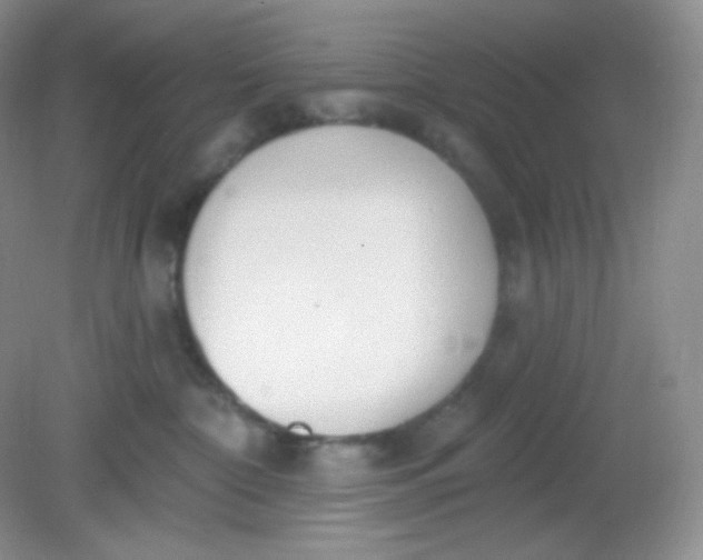 X0000081600332200701291408