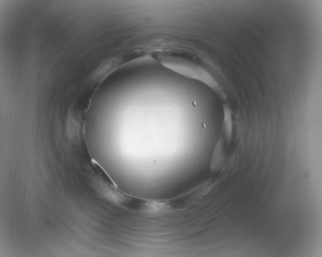 X0000081600333200701291408