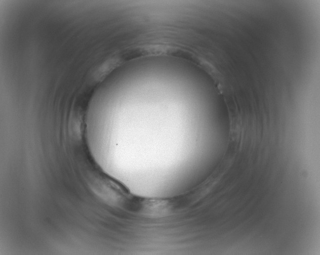 X0000081600334200701291408