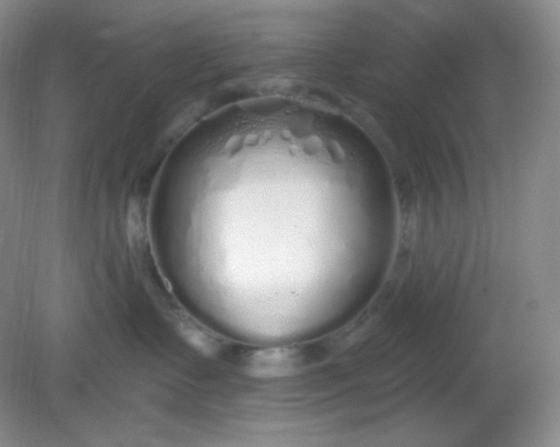 X0000081600335200701291408