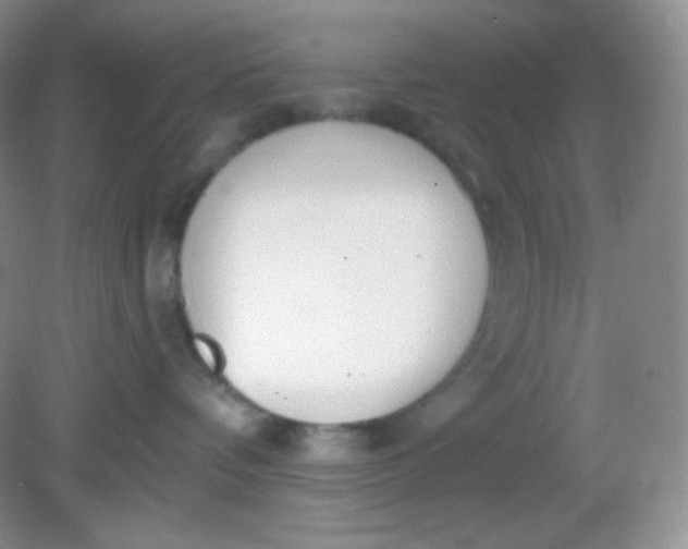 X0000081600336200701291408