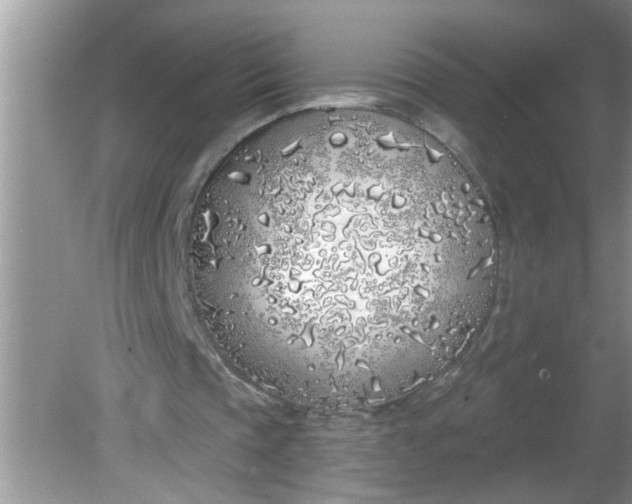 X0000081600337200701291407