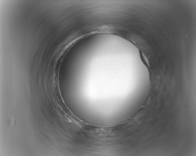 X0000081600338200701291407