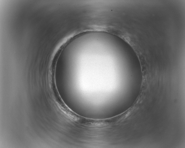 X0000081600342200701291407