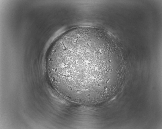 X0000081600343200701291407